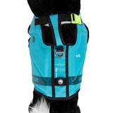 Radar Dog Vest in Blue