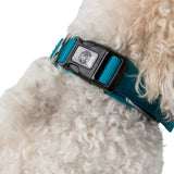 Radar Dog Collar in Blue